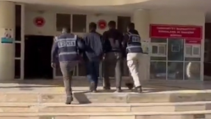 Şanlıurfa'da aranan 240 kişi yakalandı