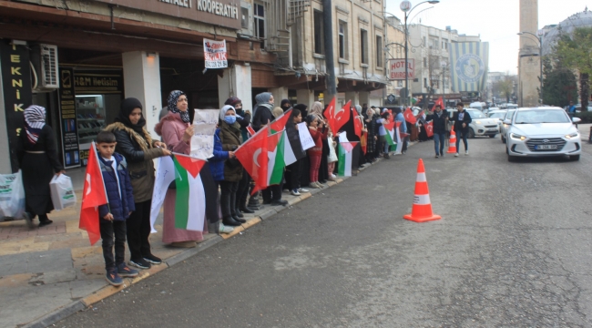 Şanlıurfa'da "El ele insan zinciri" eylemi düzenlendi