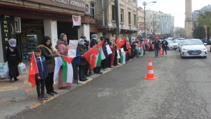 Şanlıurfa'da "El ele insan zinciri" eylemi düzenlendi