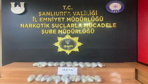 Şanlıurfa'da uyuşturucu operasyon, 1 gözaltı