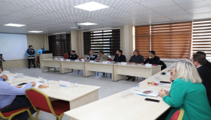 Şanlıurfa'da yerel düzey sağlık çalışma grubu operasyon planı toplantısı yapıldı