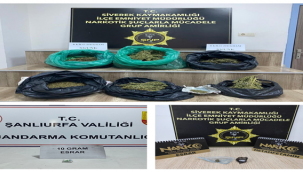 Siverek'te polis ve jandarmadan şok uygulama!