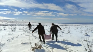 Siverek'te yaban hayvanları için doğaya yem bırakıldı