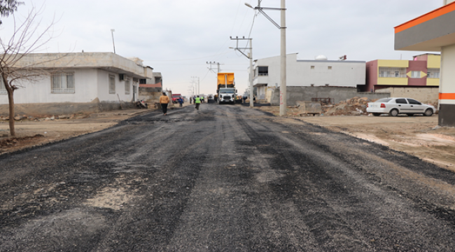 Viranşehir'de Asfalt Çalışmaları Hız Kesmiyor