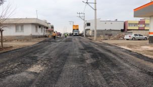 Viranşehir'de Asfalt Çalışmaları Hız Kesmiyor