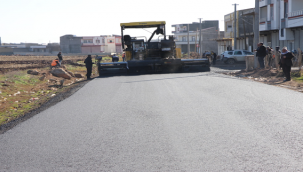 Viranşehir'de sıcak asfalt ile yollar modern hale getiriliyor