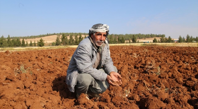 Çiftçilere tarımsal destek ödemesi bugün yapılacak