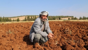 Çiftçilere tarımsal destek ödemesi bugün yapılacak