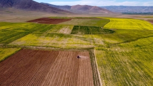 Kentsel Dönüşüm Başkanlığı Şanlıurfa'da arsa satacak