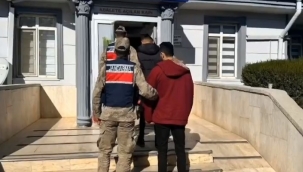 Şanlıurfa Jandarmadan kaçak göçmen operasyonu!