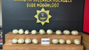 Urfa'da 2 farklı operasyonda, 2 gözaltı 