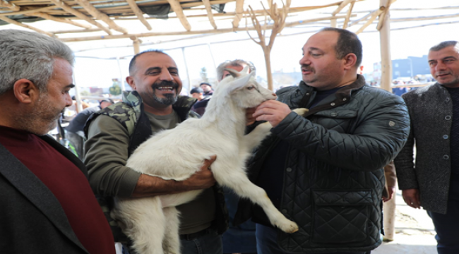 Başkan Ekinci Canlı hayvan pazarını ziyaret etti
