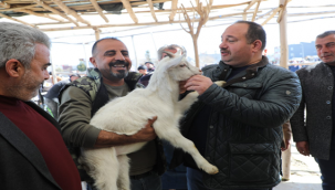 Başkan Ekinci Canlı hayvan pazarını ziyaret etti