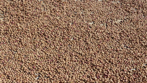 Minik Eller Toprağa Değer Yarınlarımız Yeşerir