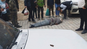 Şanlıurfa'da baba oğul kavgasında baba öldü 