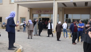 Şanlıurfa'da taşlı sopalı kavga: 9 yaralı