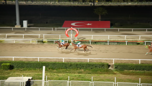 Şanlıurfa Valilik kupasını Hızman Çizik kazandı
