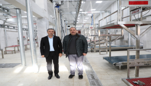 Viranşehir'de Modern mezbaha açılıyor 