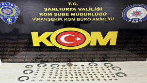 Viranşehir'de tarihi eser operasyonu, 1 gözaltı