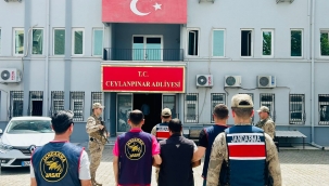 25 yıl hapis cezası bulunan şüpheli Ceylanpınar'da yakalandı 