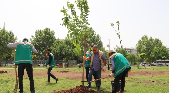 Haliliye'de parklar yaza hazırlanıyor 