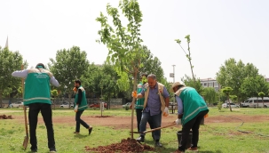 Haliliye'de parklar yaza hazırlanıyor 