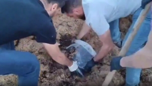 Şanlıurfa'da 380 bin uyuşturucu hap ele geçirildi