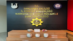 Şanlıurfa'da iki adrese yapılan operasyonda ele geçirildi