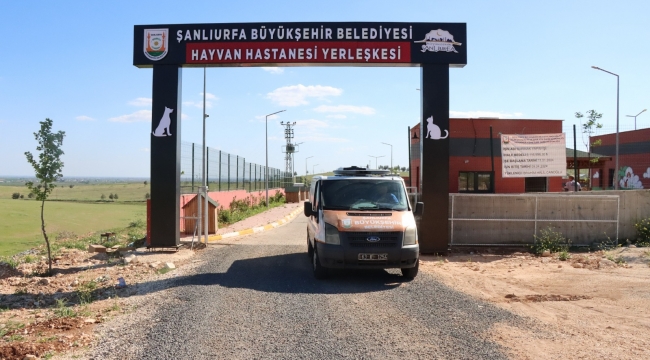 Şanlıurfa'da Tam Teşekküllü Hayvan Hastanesi Hizmete Girdi