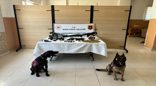 Siverek'te kaçak silah operasyonu! Çıkanlar şaşırttı