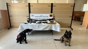 Siverek'te kaçak silah operasyonu! Çıkanlar şaşırttı