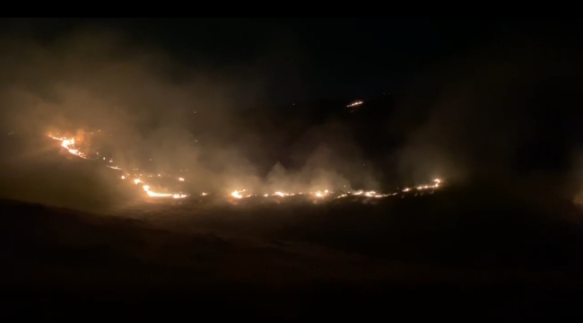 Eyyübiye'de ormanlık yangını 