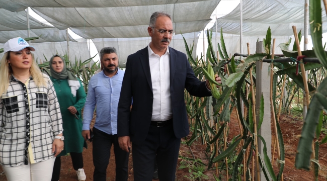 Eyyübiye Sera Kent Çiftçilere Eğitim Desteği Verecek