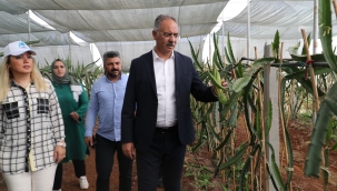 Eyyübiye Sera Kent Çiftçilere Eğitim Desteği Verecek