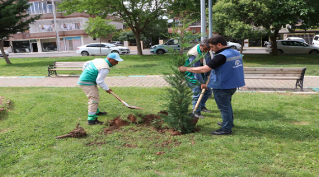 Haliliye Belediyesi Peyzaj Çalışması İle Parkları Güzelleştiriyor 