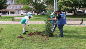 Haliliye Belediyesi Peyzaj Çalışması İle Parkları Güzelleştiriyor 