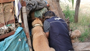 Hilvan"da terör operasyonunda cephanelik ele geçirildi