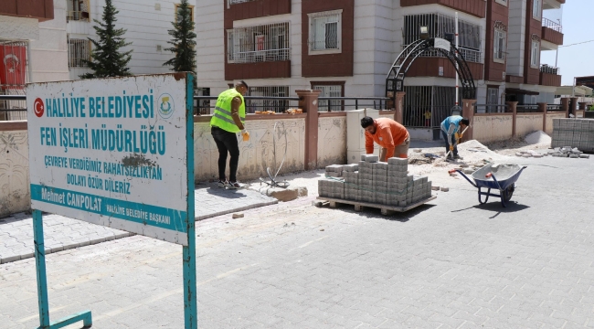 Muhtarlar, Üstyapı Hizmetleri İçin Başkan Canpolat'a Teşekkür Etti 