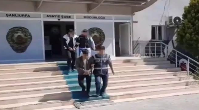 Şanlıurfa'da arananlara operasyon, 378 gözaltı