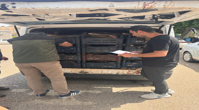 Şanlıurfa'da Kaçak Avlanma Sonucu 2 ton Balık Ele Geçirildi