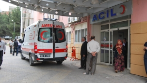 Şanlıurfa'da pikap peton duvarına çarptı, 4 yaralı 