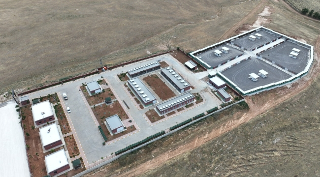 Şanlıurfa'da sokak köpekleri artık emin ellerde