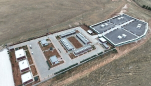 Şanlıurfa'da sokak köpekleri artık emin ellerde