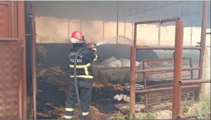 Şanlıurfa'da yangın etrafta sıçramadan söndürüldü 