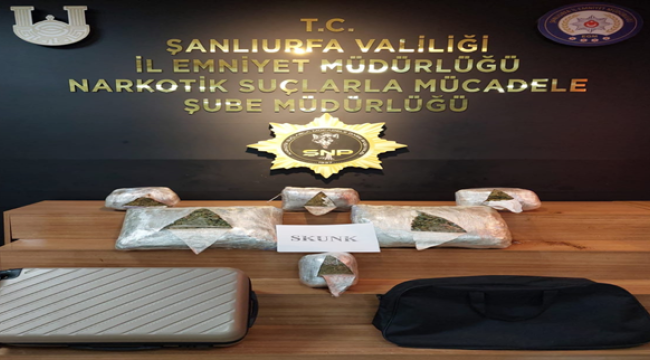 Şanlıurfa'da 10 kilo skunk maddesi ele geçirildi