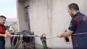 Şanlıurfa itfaiyesinden yılan operasyonu!