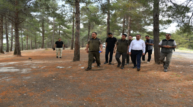Vali Şıldak, Atatürk ormanını ziyaret etti