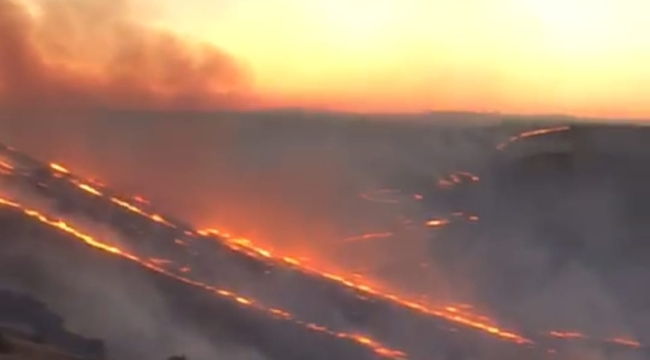 Birecik'te yüzlerce dönüm fıstık ağacı kül oldu