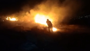 Eyyübiye'de ormanlık alanda yangın