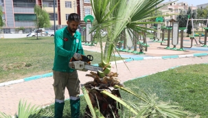 Haliliye Belediyesinden 6 Parkta Hummalı Peyzaj Çalışması